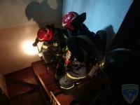 IMG_20220407_113411