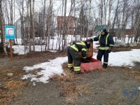 IMG-20220511-WA0002