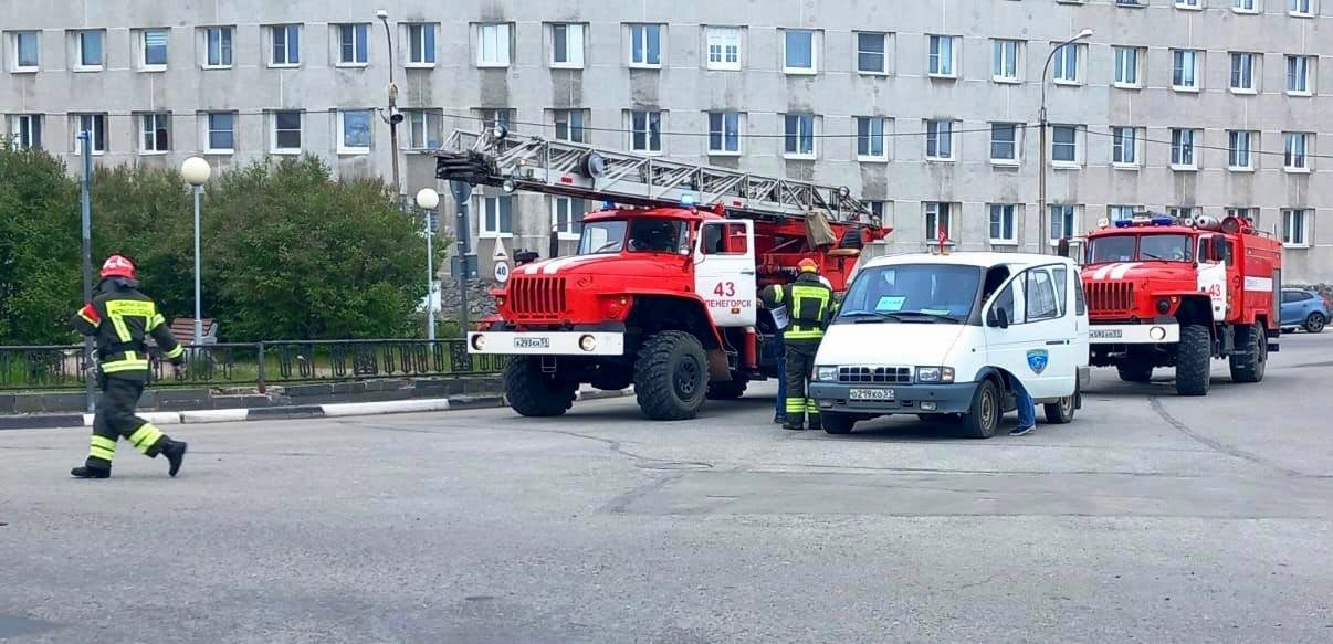 fNZUpszJbus